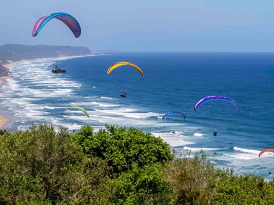 IL Gattopardo - 247161