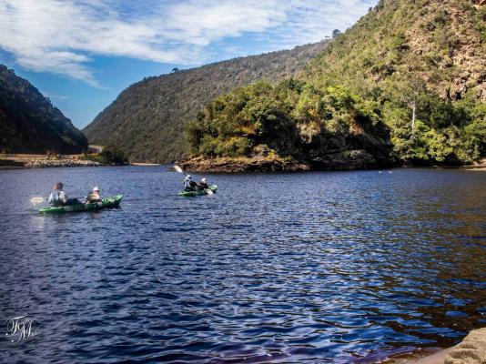 IL Gattopardo - 247168