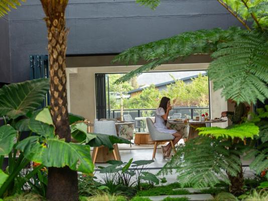 IL Gattopardo - 247175