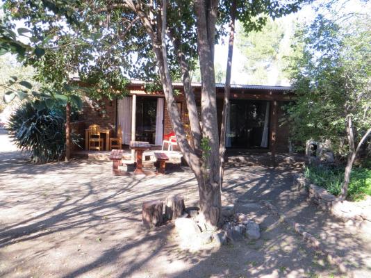 Country Cottages - 247304