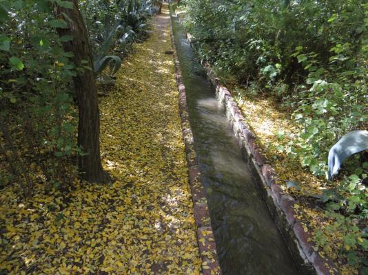 Country Cottages - 247307