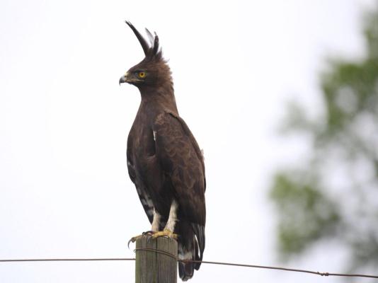 Waterwoods Equestrian Venue and Cottages - 247335