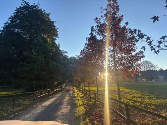 Waterwoods Equestrian Venue and Cottages - 247339