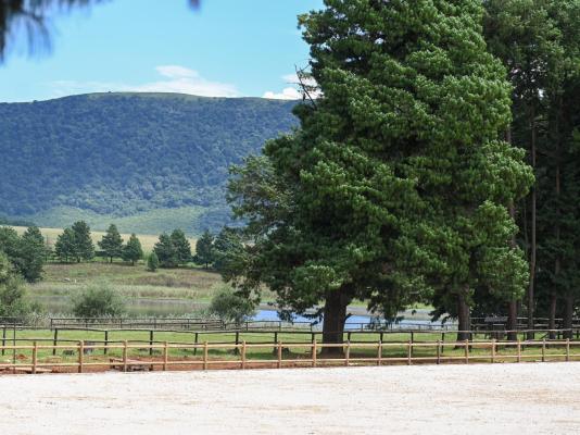 Waterwoods Equestrian Venue and Cottages - 247341