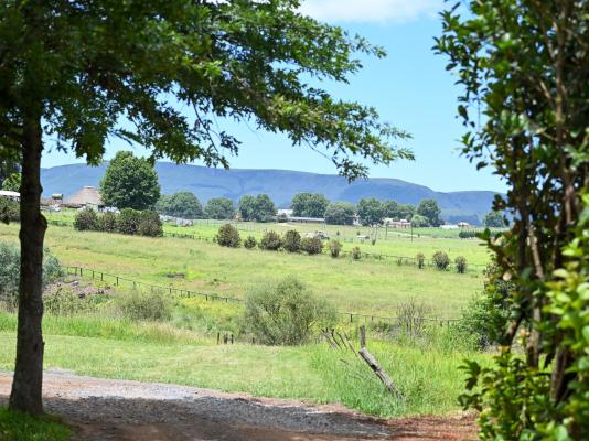 Waterwoods Equestrian Venue and Cottages - 247344