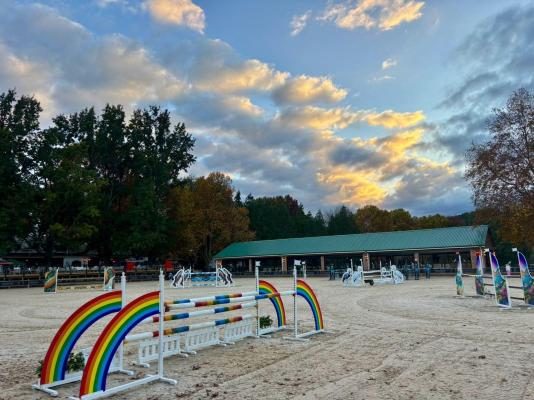 Waterwoods Equestrian Venue and Cottages - 247347