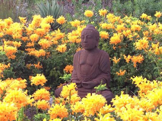 Apricot Gardens Boutique Guesthouse - 247449