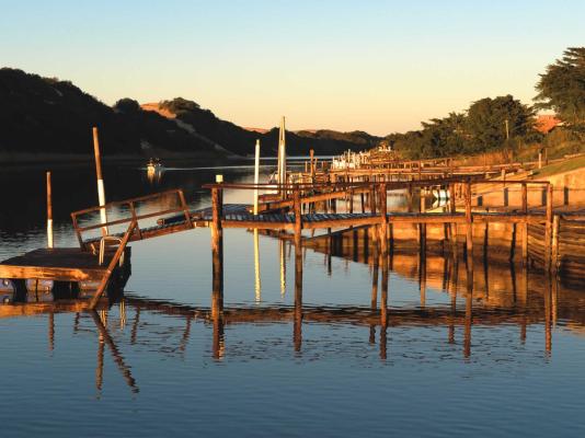 Dungbeetle River Lodge - 247592