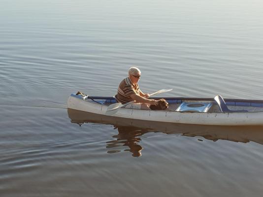 Dungbeetle River Lodge - 247594