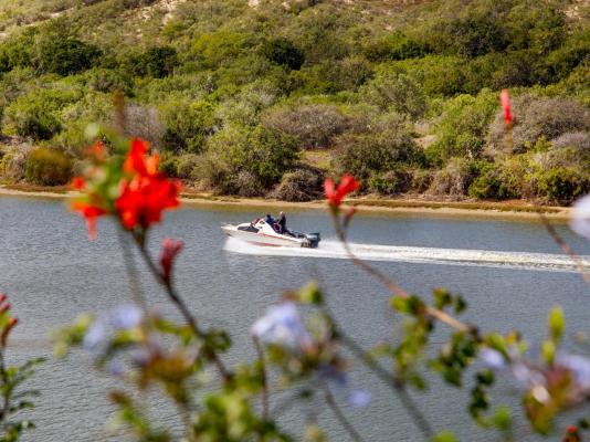 Dungbeetle River Lodge - 247597