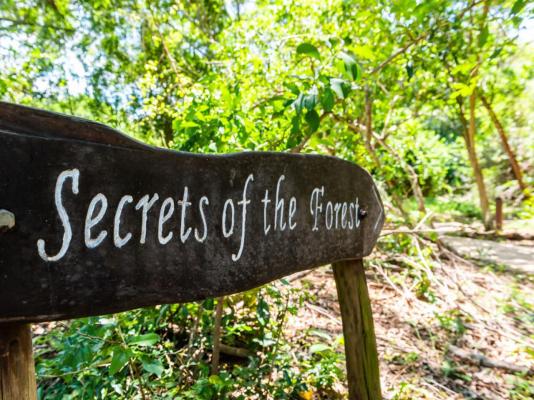 Leopard Walk Lodge - 247720