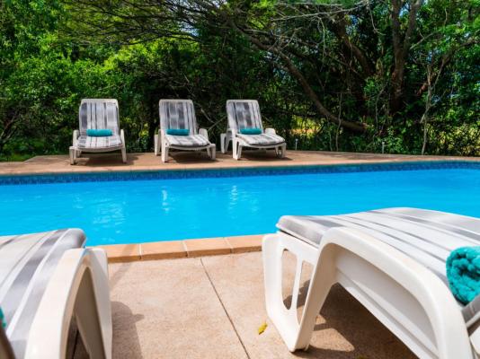 Leopard Walk Lodge - 247721