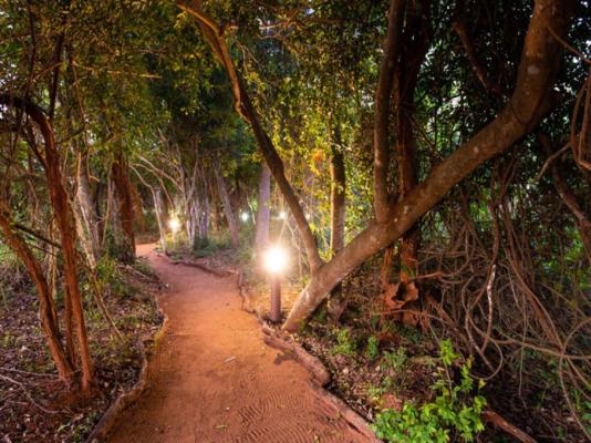 Leopard Walk Lodge - 247722