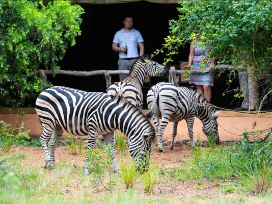 Leopard Walk Lodge - 247723