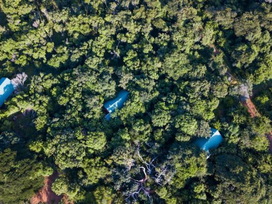 Leopard Walk Lodge - 247725