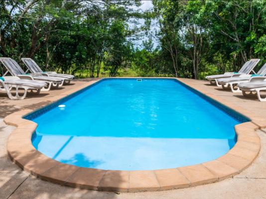 Leopard Walk Lodge - 247730