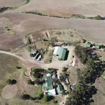 Skeiding Guest Farm - 247767