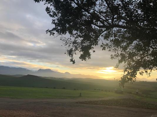 Skeiding Guest Farm - 247768