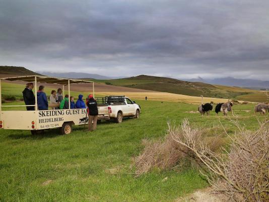 Skeiding Guest Farm - 247777