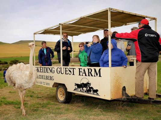 Skeiding Guest Farm - 247778