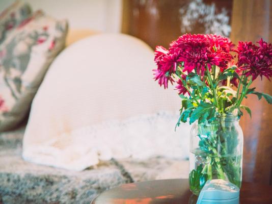 Skeiding Guest Farm - 247857