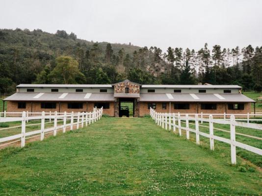 Swartvlei Guest Farm - 247947