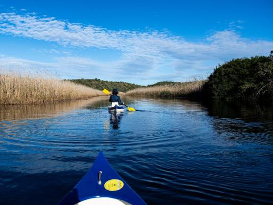 Swartvlei Guest Farm - 247949