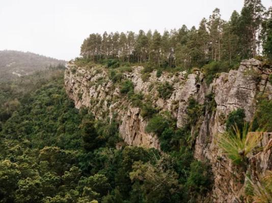 Swartvlei Guest Farm - 247961