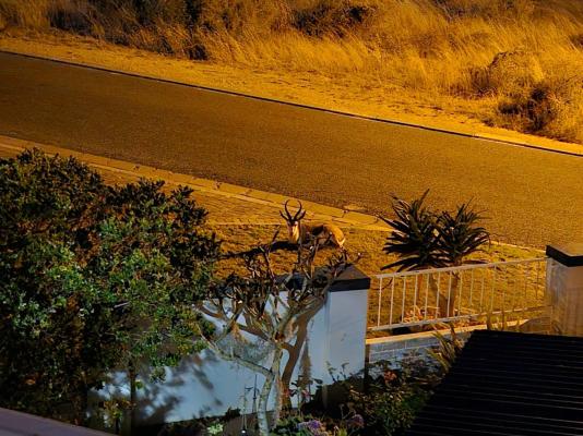 Saltwater Self-Catering - 248071