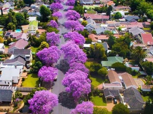 Richtershuyz Lifestyle Guesthouse - 248109