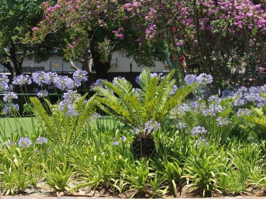 Richtershuyz Lifestyle Guesthouse - 248114