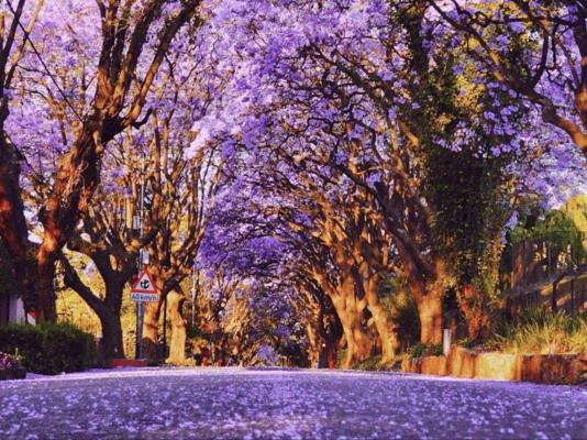 Richtershuyz Lifestyle Guesthouse - 248118