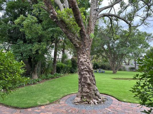 Richtershuyz Lifestyle Guesthouse - 248125