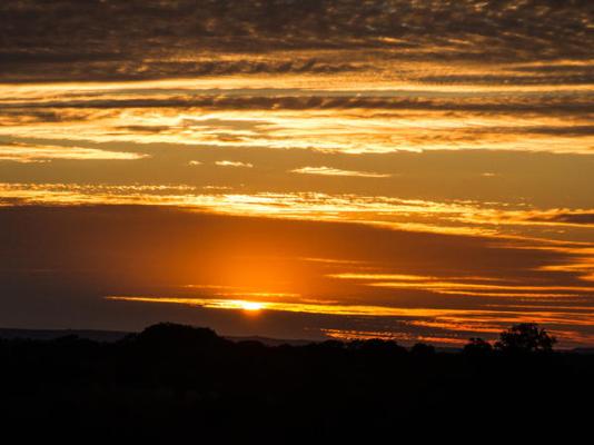 Iwamanzi Game Lodge - 248276