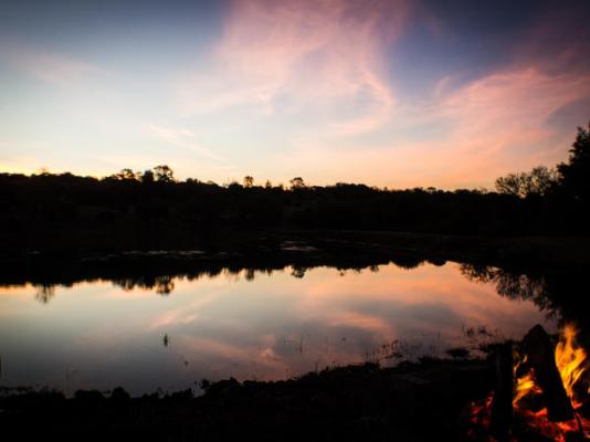 Iwamanzi Game Lodge - 248277