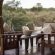 Iwamanzi Game Lodge - 248289