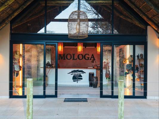 Mologa River lodge - 248356