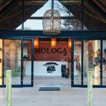Mologa River lodge - 248356