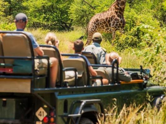 Mologa River lodge - 248357