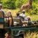 Mologa River lodge - 248357