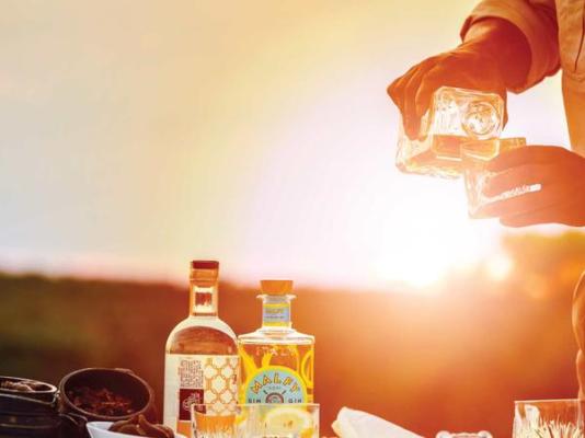 Mologa River lodge - 248365