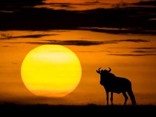 Mologa River lodge - 248366