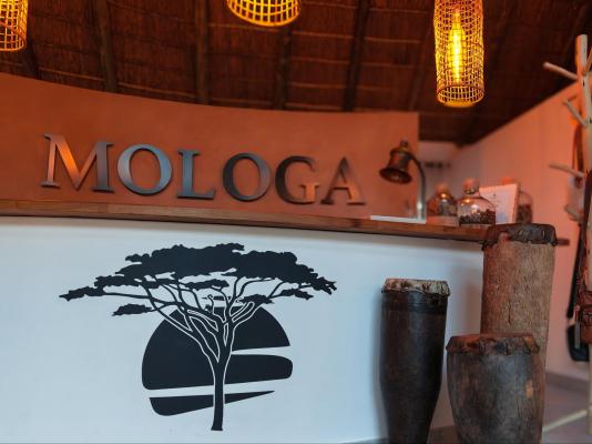 Mologa River lodge - 248369