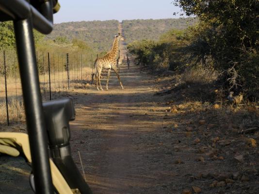 Mologa River lodge - 248372