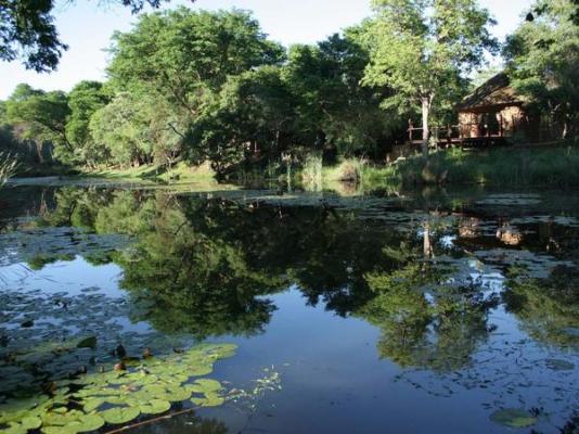 Mologa River lodge - 248373