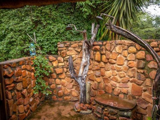 Mologa River lodge - 248378