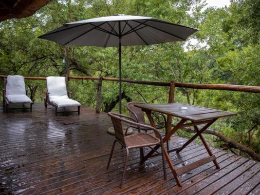 Mologa River lodge - 248383