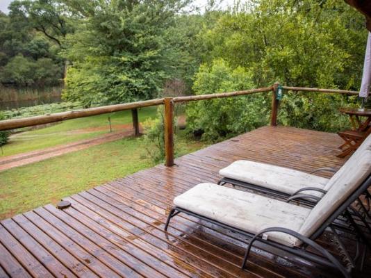 Mologa River lodge - 248392