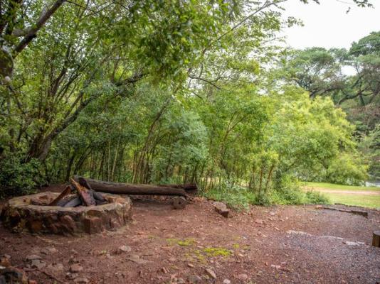 Mologa River lodge - 248400