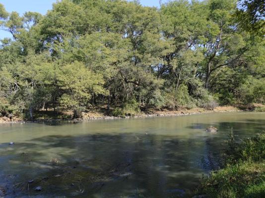 Mologa River lodge - 248422